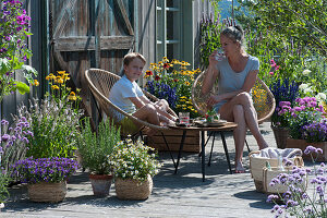 Mutter und Sohn sitzen auf insektenfreundlicher Terrasse mit blühendem Basilikum, Scheinsonnenhut, Malve, Fächerblume 'Violet Blue', Zweizahn 'Bee White', Rosmarin