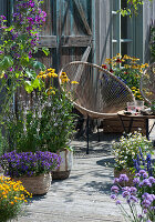 Insektenfreundliche Terrasse mit blühendem Basilikum, Scheinsonnenhut, Malve, Fächerblume 'Violet Blue', Zweizahn 'Bee White', Tagetes und Sessel