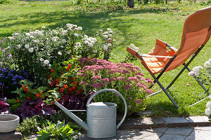 Herbstbeet mit Herbstchrysanthemen 'Nebelrose', Fetthenne 'Herbstfreude', Lampionblume, Aster 'Sapphire' und Purpurglöckchen