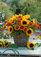 Lush bouquet of sunflowers and zinnias in a basket