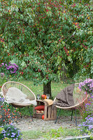 Small seating area in front of a crabapple tree