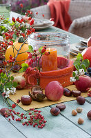 Autumn table decoration with lantern, rose hips, pumpkin, apples, chestnuts, snowberries, hazelnuts and a branch of crabapples