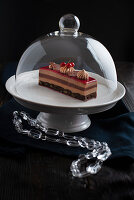 An elegant redfruit and chocolate patisserie in a glass cake dome