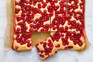 Yoghurt currant cake from the tray