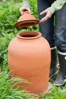 Opening the lid of a rhubarb forcer