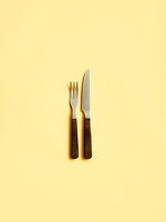 Steak cutlery