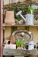 Grape hyacinths in watering can next to box heart and handmade paper plant pots