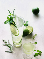 Cucumber cocktails with lime and herbs