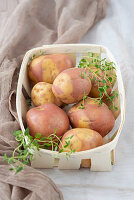 Raw potatoes in the basket