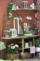 Decorative arrangement on terrace