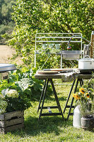 Outdoor kitchen in garden