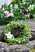 Kranz aus Ligusterblüten, strahlenloser Kamille, Blüte vom Bauernjasmin und Blättern der Schafgarbe