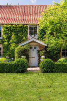 Thoughtful planting has transformed the garden of this charming family home