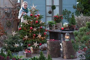 Weihnachts-Terrasse: Nordmanntanne mit Lichterkette, Sternen, roten Kugeln und Kerzen als Weihnachtsbaum geschmückt, kleine Stechfichte mit Lichterkette, Frau zündet Kerzen an