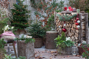 Weihnachtliche Terrasse mit Nordmanntanne und Stechfichte als Weihnachtsbaum, Brennholzlege mit Christbaumkugeln und Kerzen, Korbkasten mit Zuckerhutfichte, Farn und Christrose