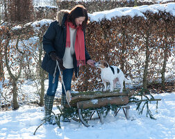 Frau an Holzschlitten mit Fichtenstämmen gibt Hund Zula Leckerchen
