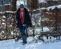 Frau zieht Holzschlitten mit Fichtenstämmen, Hund Zula und Katze laufen im Schnee