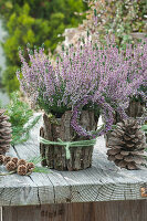 Knospenheide Gardengirls 'Hilda' mit Rinde verkleidet,  Heidekränzchen und Zapfen als Deko