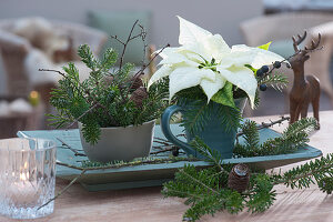 Christmas table decoration with small bouquets of poinsettia and fir branches on a wooden bowl