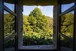 Blick aus dem Fenster auf herbstliche Landschaft