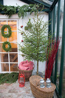 Christmas tree in zinc bucket surrounded by baskets in conservatory