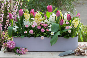 Box with fringed tulips 'Split', hyacinths 'White Pearl' 'City of Harlem' and Tausendschon Roses