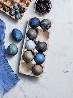 Eggs of different shades of blue