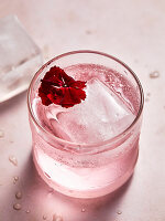 Pink rose drink with ice cubes