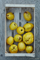 Quince fruits in wood punnet