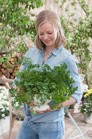 Woman brings a colander planted with parsley