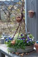 Wide bowl with horned violets, parsley, and cabbage, clay pots with onions and branches of pussy willow as decoration