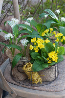 Blossoming wild garlic and cowslips clad with burlap in a wire basket