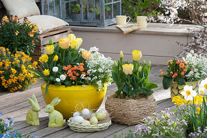 Easter terrace with tulips, filled primroses Belarina 'Sweet Apricot', daisy 'Alabaster', narcissus 'Tete Boucle', golden wallflower, Tausendschon Rose, Easter bunnies, and Easter nest with Easter eggs