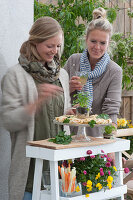 Easter terrace: woman decorates plate with salmon rolls with parsley, as a friend looks on
