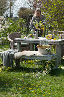 Ostertischdeko im Garten: Frau bringt Strauß aus Blütenzweigen und Löwenzahn, Osterhase, Korb mit Ostereiern und Blütenkranz