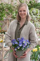 A woman with horned violet 'Blue Moon' in a zinc pot