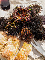 Seeigel mit Brot und Rotwein