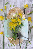 Chip basket with daffodils, parrot tulip, and freesia