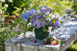 Bouquet of hydrangea flowers and perennial vetch in basket