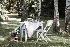 White table with tablecloth, basket with eucalyptus branches, and two chairs in front of birch trees in the spring garden