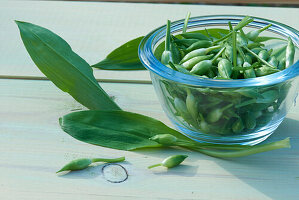 Wild garlic (ramp) buds and leaves