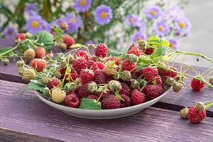 Plate with freshly picked raspberries