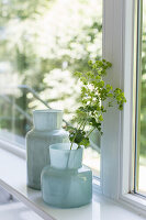 Glass vases of lady's mantle branch on windowsill