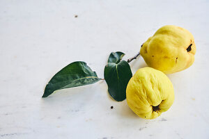 Two quinces