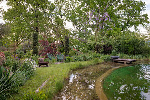 Pond in a lush garden