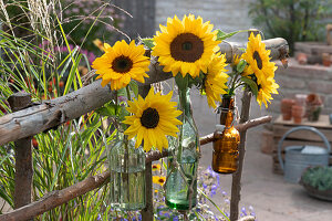 Sonnenblumen-Blüten in Flaschen an Gestell aus Ästen gehängt