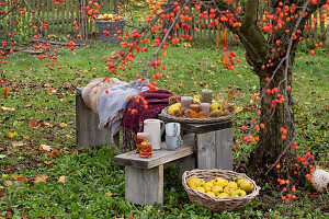 Bench with seat fur and blankets as a seat under the ornamental apple tree, basket with candles, quinces and chestnuts, basket with apple quinces