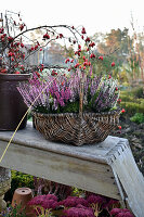 Heather in a wicker basket