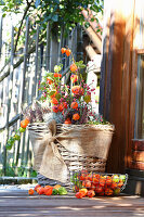 Basket lushly planted with autumn-flowering plants (physalis, heather)