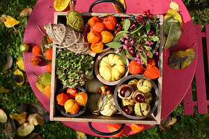 Wooden box with ornamental pumpkins, chestnuts, hydrangea flowers and lampion flowers